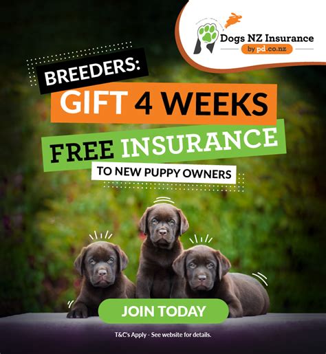 how much is dog insurance nz pd.